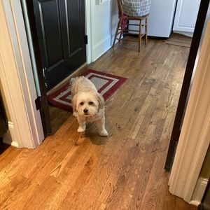 Meet your Posher, Kimberly